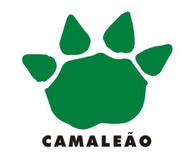 Logo Bloco Camaleão. Imagem: Divulgação/Facebook Camaleão.